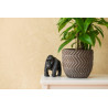 Concrete wall finish / Concrete effect plaster 20 kg - Creamy - Comple