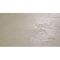Concrete wall finish / Concrete effect plaster 20 kg - Creamy - Comple