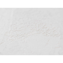 Concrete wall finish / Concrete effect plaster 20 kg - White - Complet