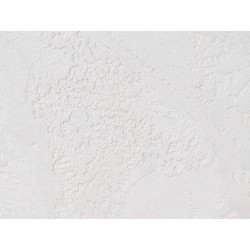 Concrete wall finish / Concrete effect plaster 20 kg - White - Complet