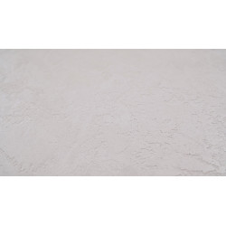 Concrete wall finish / Concrete effect plaster 20 kg - White - Complet