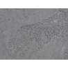 Concrete wall finish / Concrete effect plaster 20 kg- Anthracite - Com