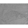 Concrete wall finish / Concrete effect plaster 20 kg- Anthracite - Com