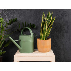 Concrete wall finish / Concrete effect plaster 20 kg - Graphite - Comp