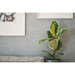 Concrete wall finish / Concrete effect plaster 20 kg - Dark grey - Com