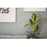 Concrete wall finish / Concrete effect plaster 20 kg - Dark grey - Com