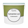 Hydrophobic (water-resistant) varnish for concrete plasters