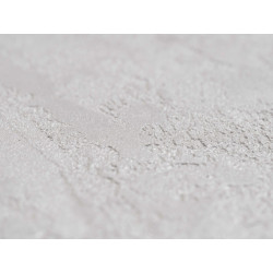 Concrete wall finish / Concrete effect plaster 20 kg - Silky Gray - Co