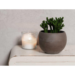 Concrete wall finish / Concrete effect plaster 20 kg - Silky Gray - Co