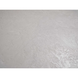 Concrete wall finish / Concrete effect plaster 20 kg - Silky Gray - Co