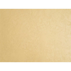 Concrete wall finish / Concrete effect plaster 20 kg - Sandy - Complet