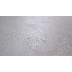Concrete wall finish / Concrete effect plaster 20 kg - White - Complet