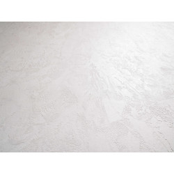 Concrete wall finish / Concrete effect plaster 20 kg - White - Complet