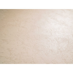 Concrete wall finish / Concrete effect plaster 20 kg - Creamy - Comple