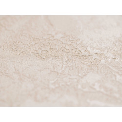 Concrete wall finish / Concrete effect plaster 20 kg - Creamy - Comple