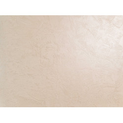 Concrete wall finish / Concrete effect plaster 20 kg - Creamy - Comple