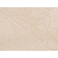 Concrete wall finish / Concrete effect plaster 20 kg - Creamy - Comple